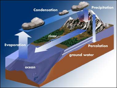 Water's Lifecycle
